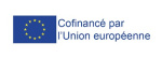 Logo fse